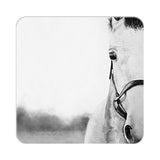 Monochromatic Horse Portrait