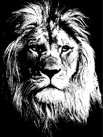 Aslan of Narnia