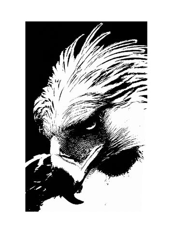 Phillipines Eagle Portrait in Black and White