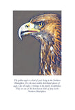 Golden Eagle Colouring Page