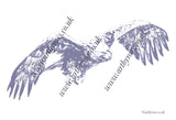 Golden Eagle in Flight Colouring Page