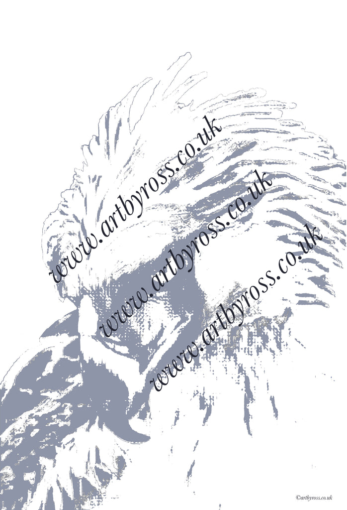Philippine Eagle in Flight Colouring Page – Ross Art and Craft