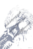 Philippine Eagle in Flight Colouring Page