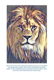Lion Colouring Page Digital Download