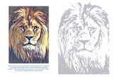 Colouring Collection Book One