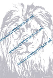 Lion Colouring Page Digital Download