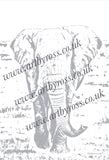 African Elphant Colouring Page Digital Download