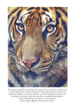 Tiger Colouring Page Digital Download