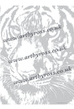 Tiger Colouring Page Digital Download