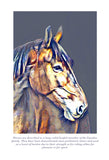Horse Colouring Page Digital Download