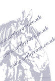 Horse Colouring Page Digital Download