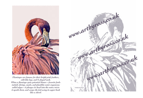 Flamingo Colouring Page