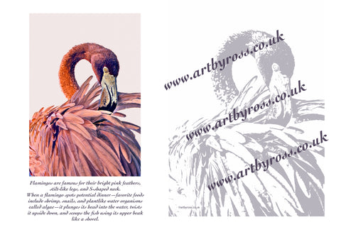 Flamingo Colouring Page Digital Download
