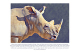 Rhino Colouring Page Digital Download