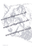 Wolf Colouring Page
