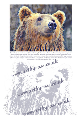 Brown Bear Colouring Page Digital Download