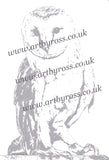 Barn Owl Colouring Page