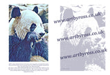 Giant Panda Colouring Page