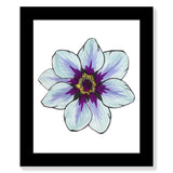 Flower Study in Blue and Purple - Clematis