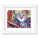 Grey Tabby Cat up in the Tree