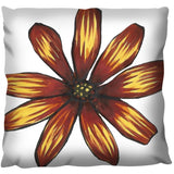 Flower Study in Yellow and Red - Osteospermum