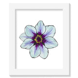 Flower Study in Blue and Purple - Clematis