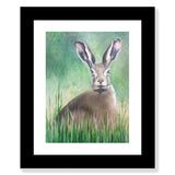 March Hare Oil Painting