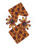 Flower Study in Yellow and Red - Osteospermum