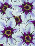 Flower Study in Blue and Purple - Clematis