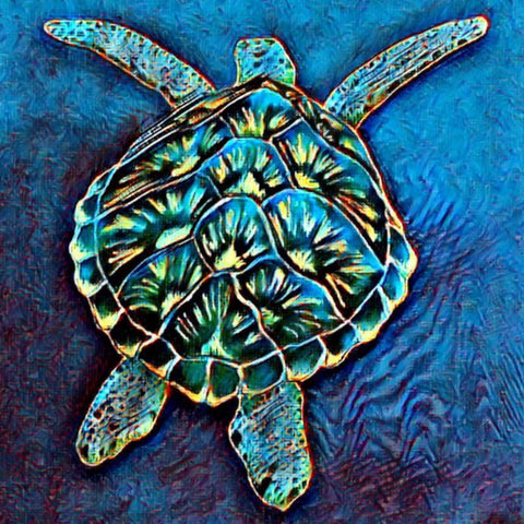 Sea Turtle in the Blue