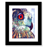 Owl Collage