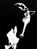 Horse in Shadow