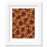Flower Study in Yellow and Red - Osteospermum