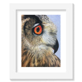 Owl in Pencil Crayon