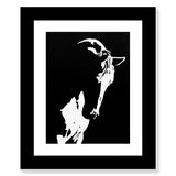 Horse in Shadow
