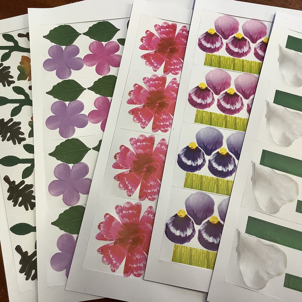 Advanced Paper Flower Expert Kit by My Craft Studio/Embellishment