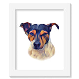 Jack Russell - Tri Colour