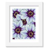Flower Study in Blue and Purple - Clematis