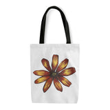 Flower Study in Yellow and Red - Osteospermum
