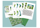Labrador Puppy Iris Folding Kit