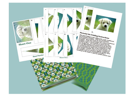 Labrador Puppy Iris Folding Kit