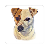 Jack Russell - Tan