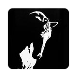 Horse in Shadow
