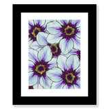 Flower Study in Blue and Purple - Clematis
