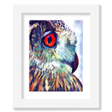Owl Collage