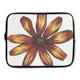 Flower Study in Yellow and Red - Osteospermum