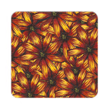 Flower Study in Yellow and Red - Osteospermum