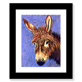 Donkey Love