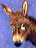 Donkey Love