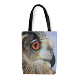 Owl in Pencil Crayon